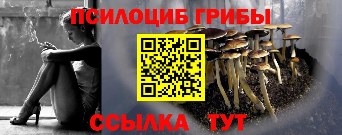 Ивантеевка  купить наркотики цена  Вход с VPN  Галлюциногенные грибы GOLDEN TEACHER  Галлюциногенные грибы мицелий 