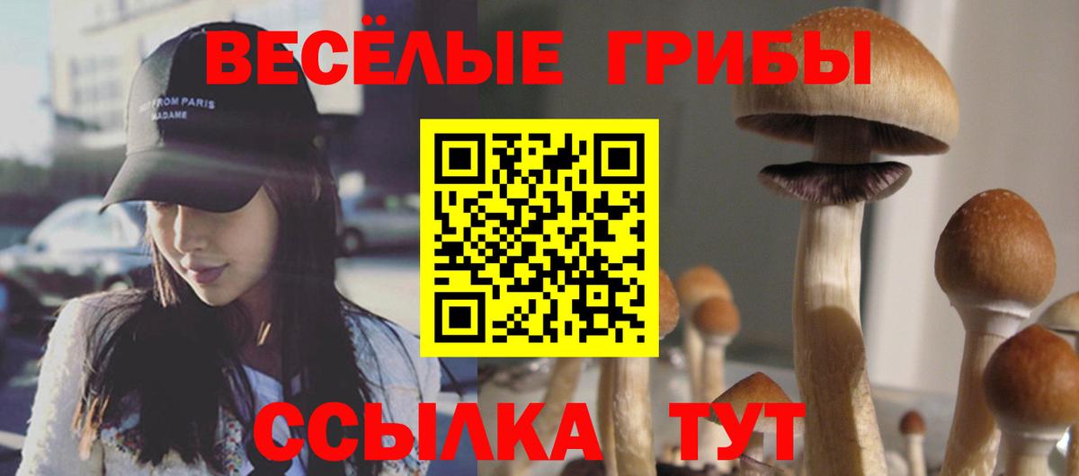 Галлюциногенные грибы Psilocybe Ивантеевка